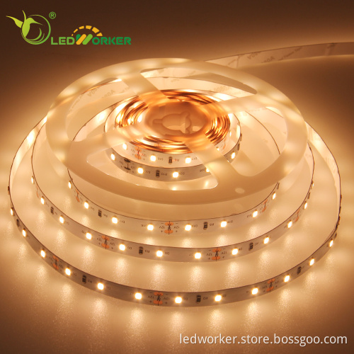 SMD 2835 Flexible LED Strip Light 12V 120-240 Leds 60D
